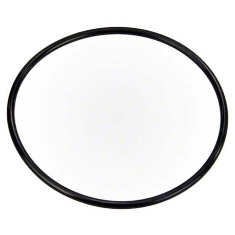 Pump lid oring New Triton Pentair