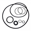 Pump repair set oring Sena Astral