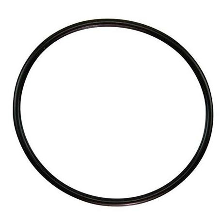 Pump lid gasket Challenger Pentair