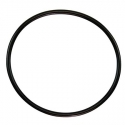 Pump lid gasket Challenger Pentair