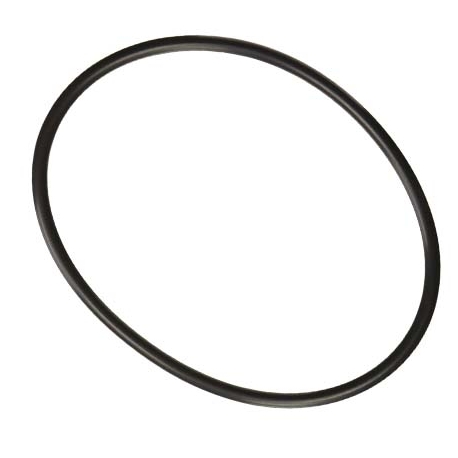 Λάστιχο καπακιού χλωριωτή C250-500 Hayward