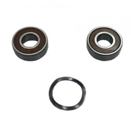 Bearings pump Victoria Plus Astral