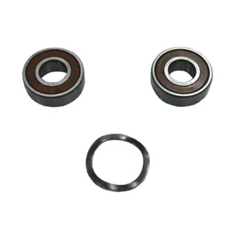 Bearings pump Victoria Plus Astral