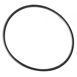 Pump flange oring Maxim Astral