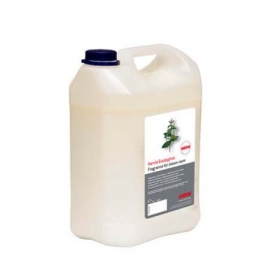 Fragrance hammam eucalyptus Helo