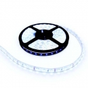 Ταινία led αδιάβροχη AC