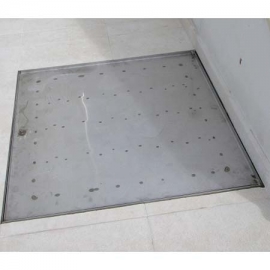 Manhole cover with suspension