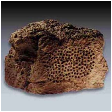 Loudspeakers rock shaped Asral