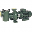 Cast centrifugal pool pump CIS 1450 rpm AS
