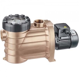 Pool pump recirculation Bronze Speck pumps