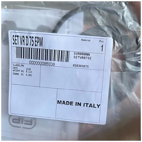 Oring repair set check valve Fip