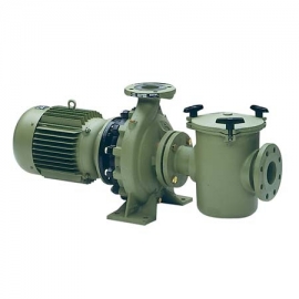 Cast centrifugal pool pump Aral C 1500 Astral