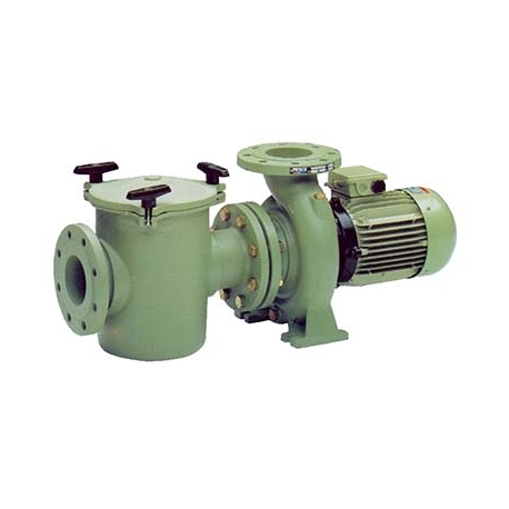 Cast centrifugal pool pump Aral C 3000 Astral