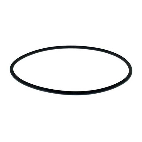 Lid oring filter Pro Series HI/Granada Hayward-Kripsol