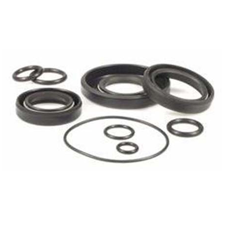 Pump Repair Set espa vigila 500