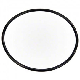 Λάστιχο θόλου φίλτρου Old Triton Pentair