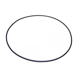 Λάστιχο φλάτζας αντλίας Victoria plus Astral