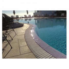 Pool drain grate vertebrate 2Z Pool Stones