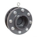 Pvc wafer check valve AK Palaplast