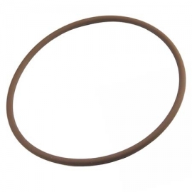 Oring clorinator pentair