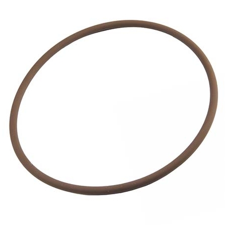 Oring χλωριωτή Pentair