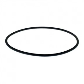 Pump lid oring Kapri Hayward