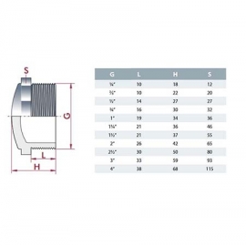 Plug male thread pvc-u Cepex